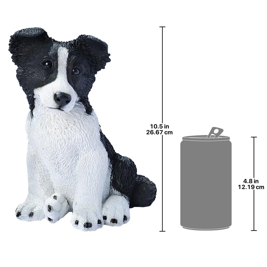 Border Collie Puppy Dog Statue