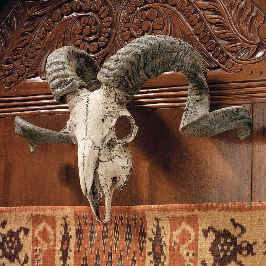 Corsican Ram Skull and Horns Trophy Wall Sculpture