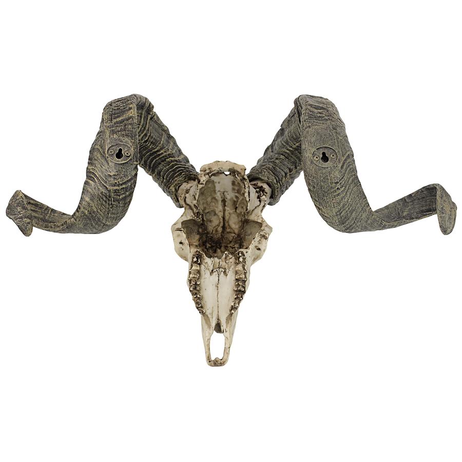 Corsican Ram Skull and Horns Trophy Wall Sculpture