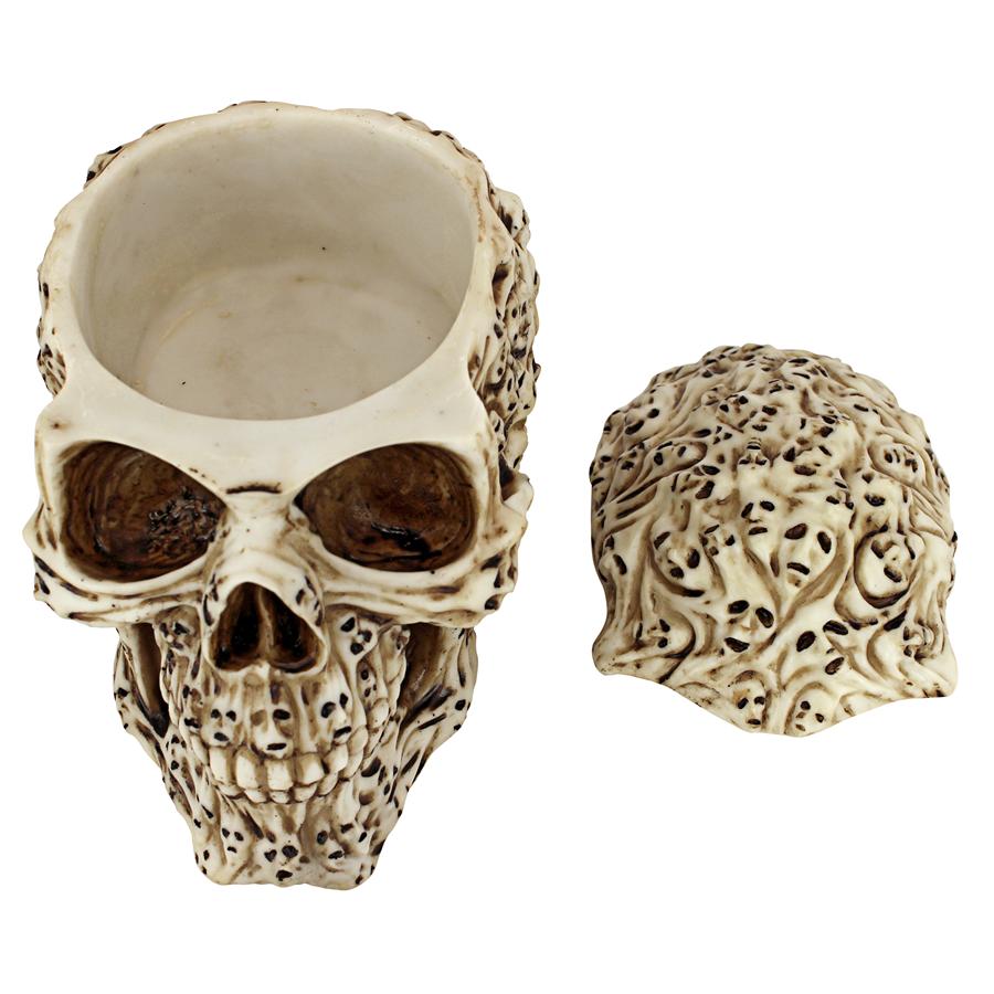 Skull's Soul Spirit Sculptural Box