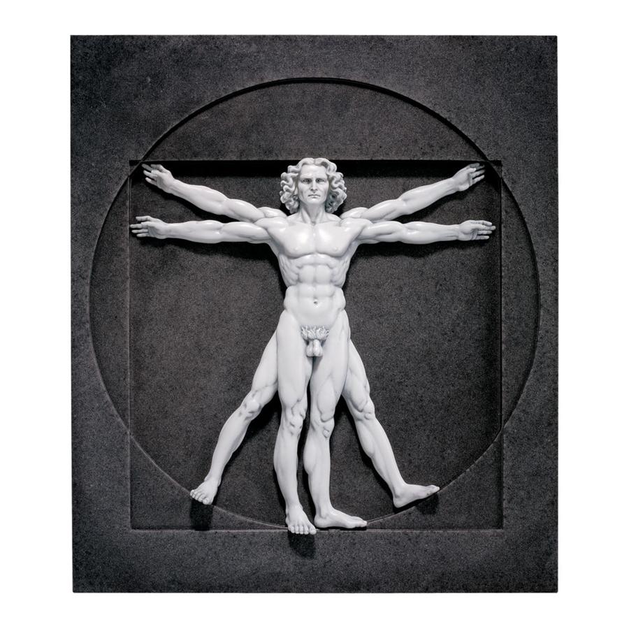 Vitruvian Man Wall Sculpture