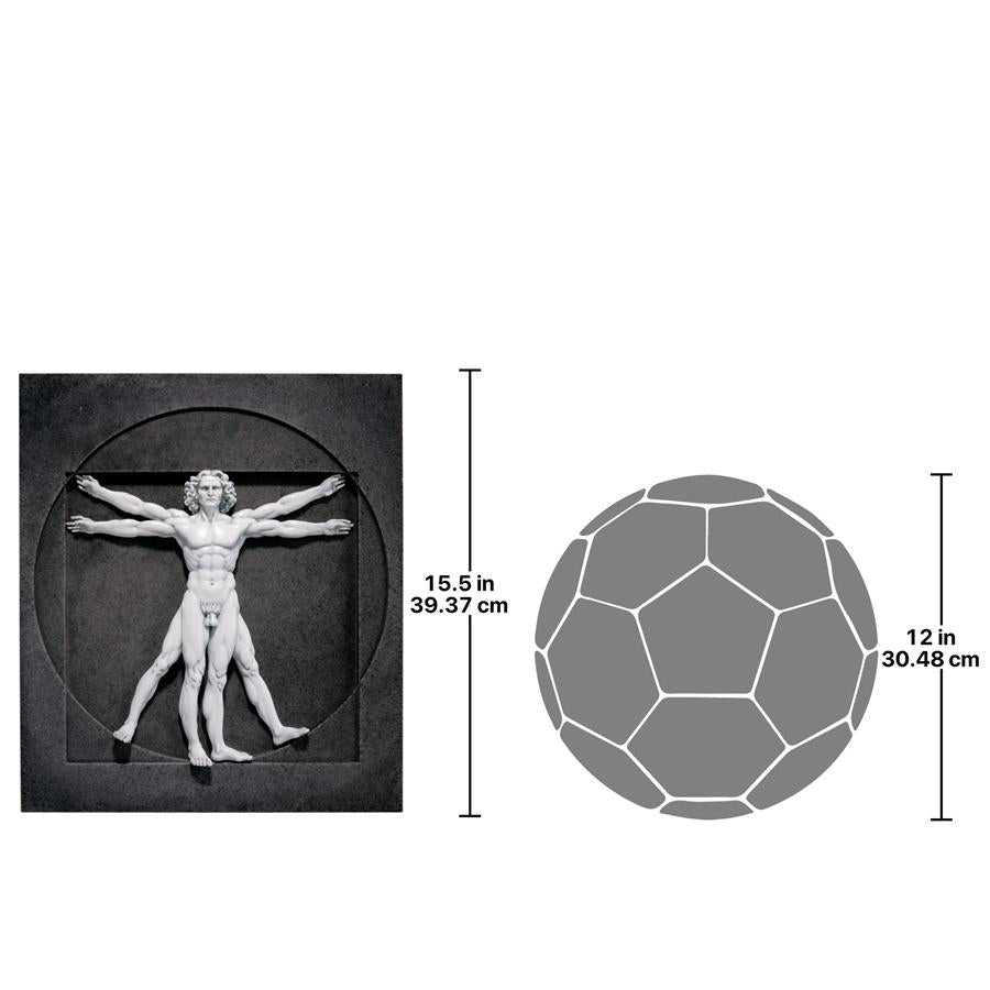 Vitruvian Man Wall Sculpture