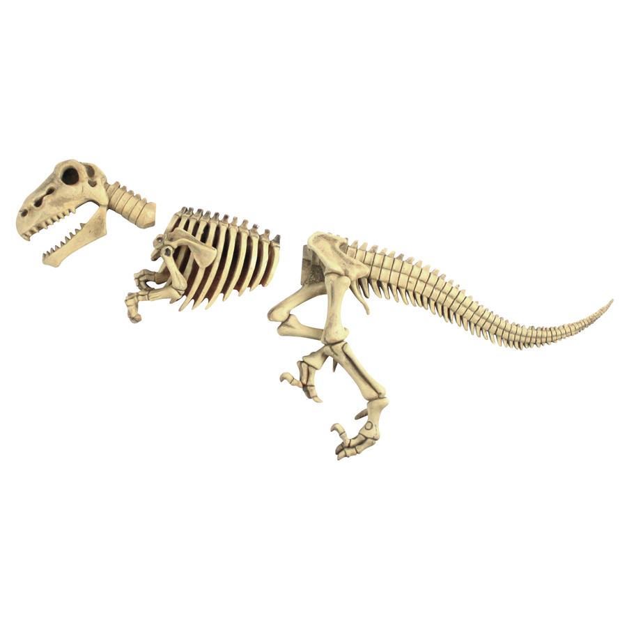 Raptor Dinosaur Skeleton Fossil Garden Statue