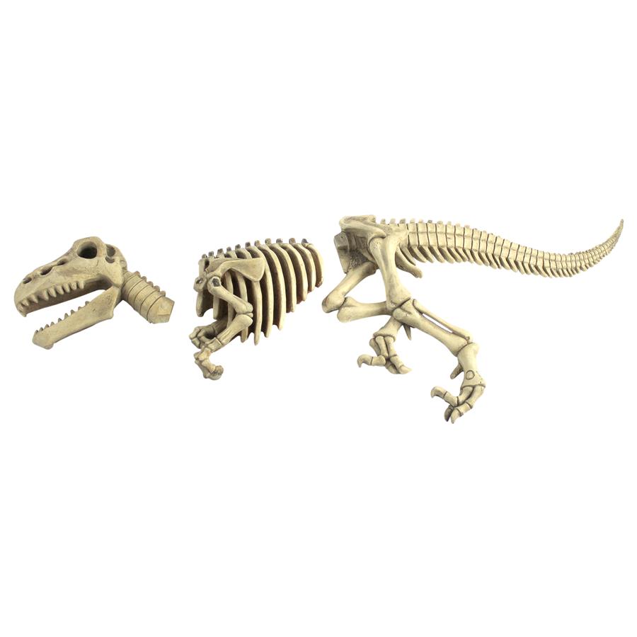 Raptor Dinosaur Skeleton Fossil Garden Statue