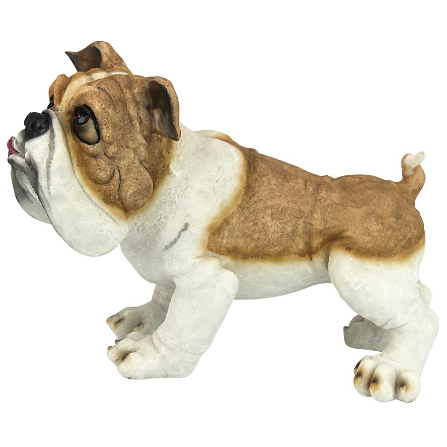 Winston the British Bulldog Statue