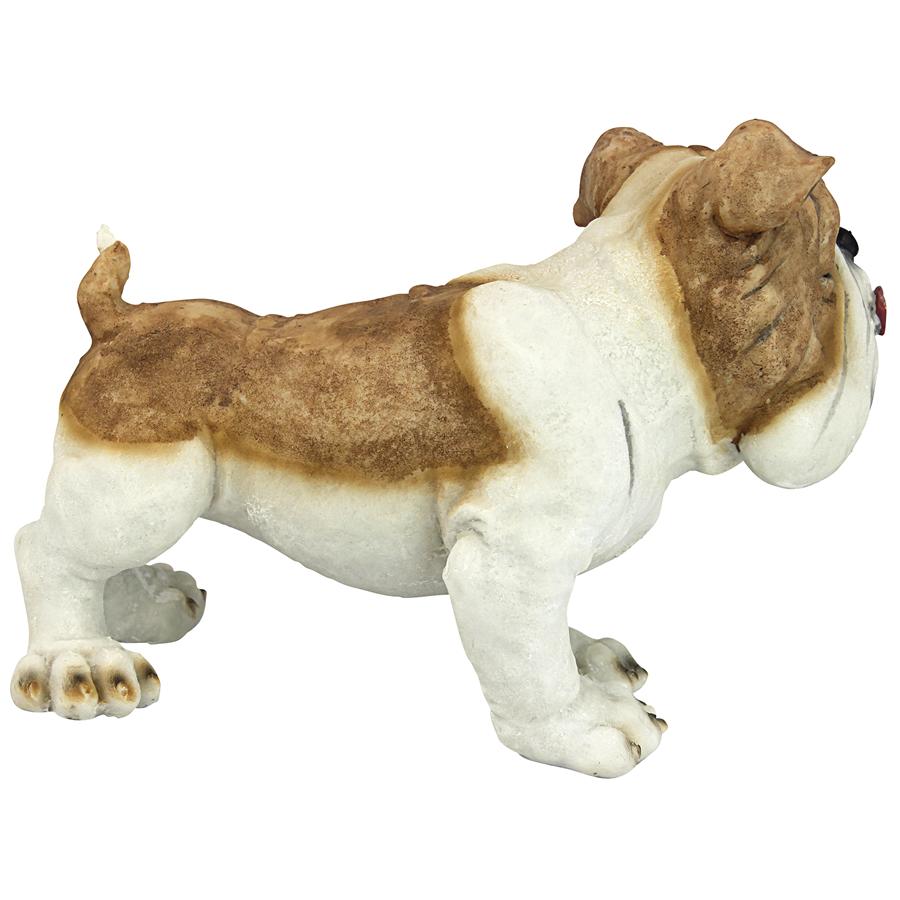 Winston the British Bulldog Statue