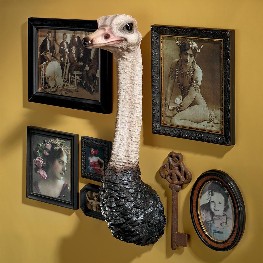 Ostrich Bird Trophy Wall Sculpture