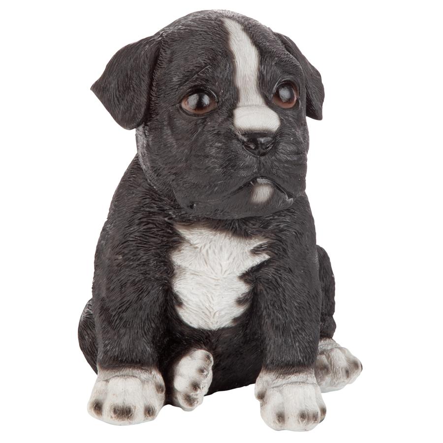 Border Collie Puppy Partner Collectible Dog Statue