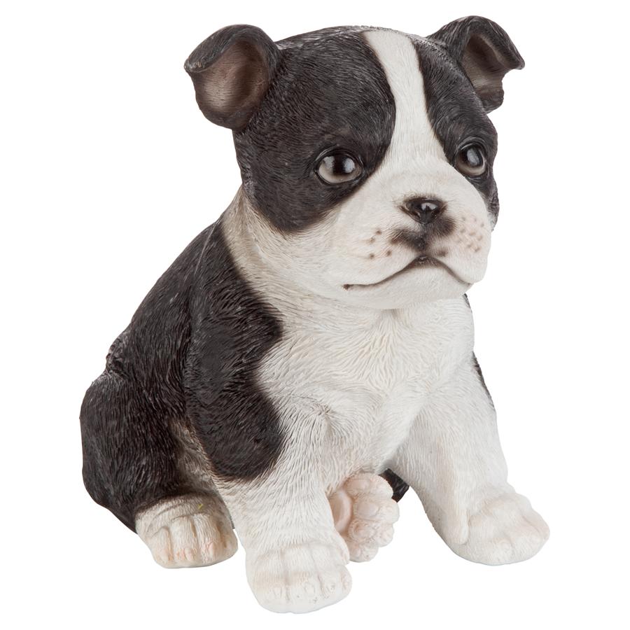 Boston Terrier Puppy Partner Collectible Dog Statue