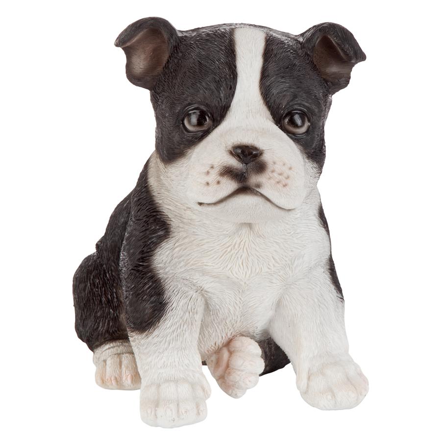 Boston Terrier Puppy Partner Collectible Dog Statue