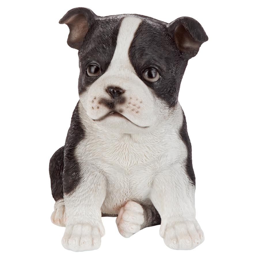 Boston Terrier Puppy Partner Collectible Dog Statue