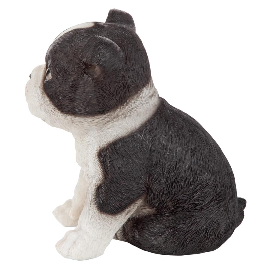 Boston Terrier Puppy Partner Collectible Dog Statue