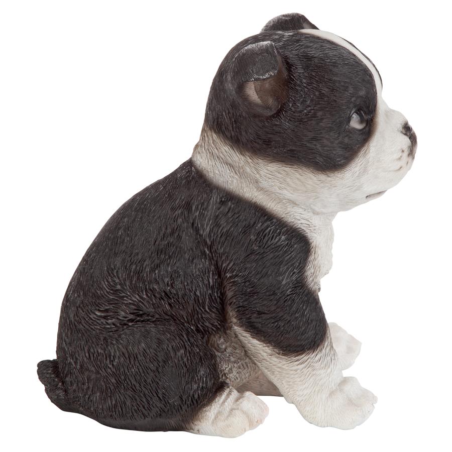 Boston Terrier Puppy Partner Collectible Dog Statue