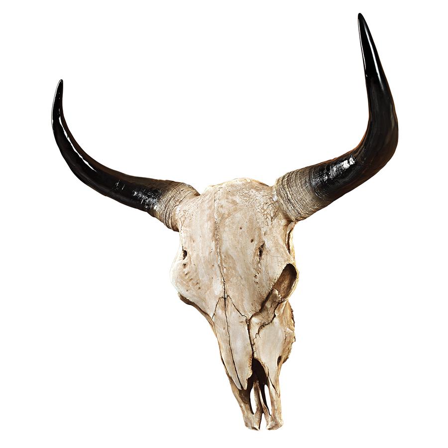 Long Horn Steer Trophy Wall Sculpture