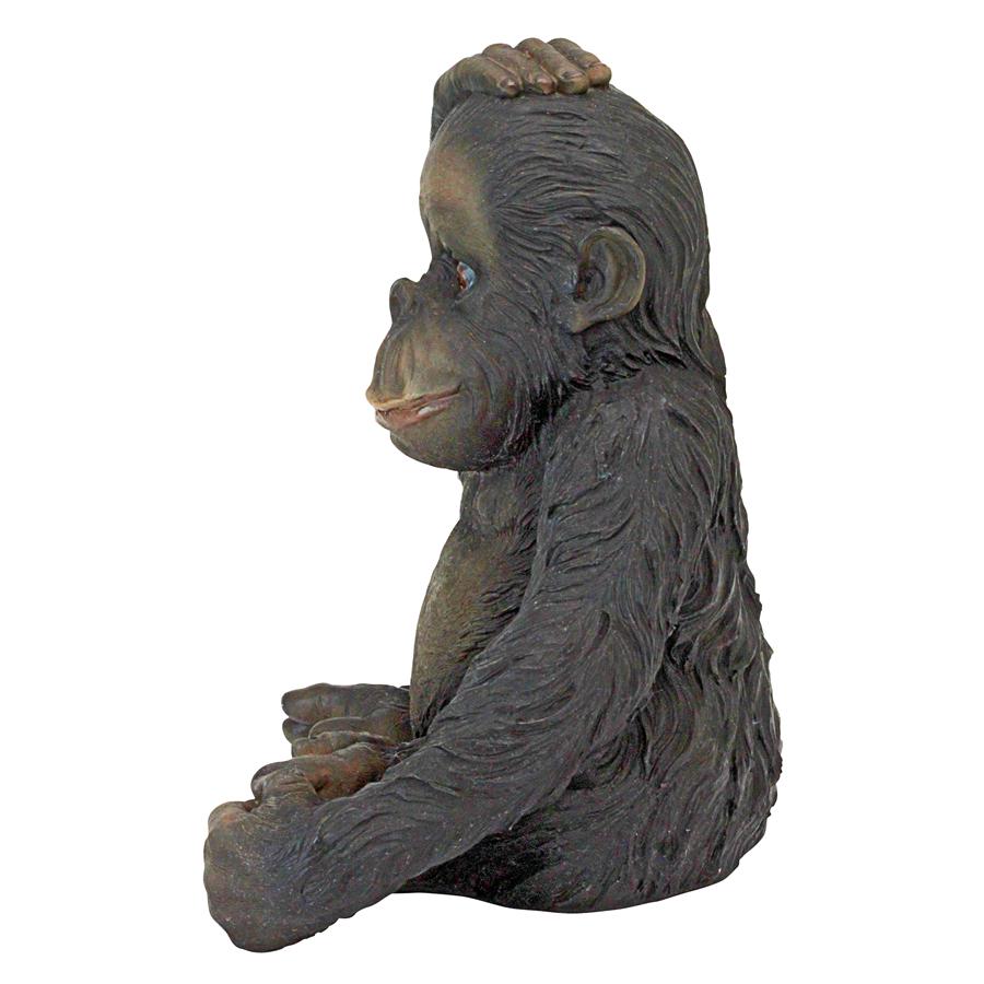 Curly the Chimpanzee of the Jungle Funny Monkey Statue