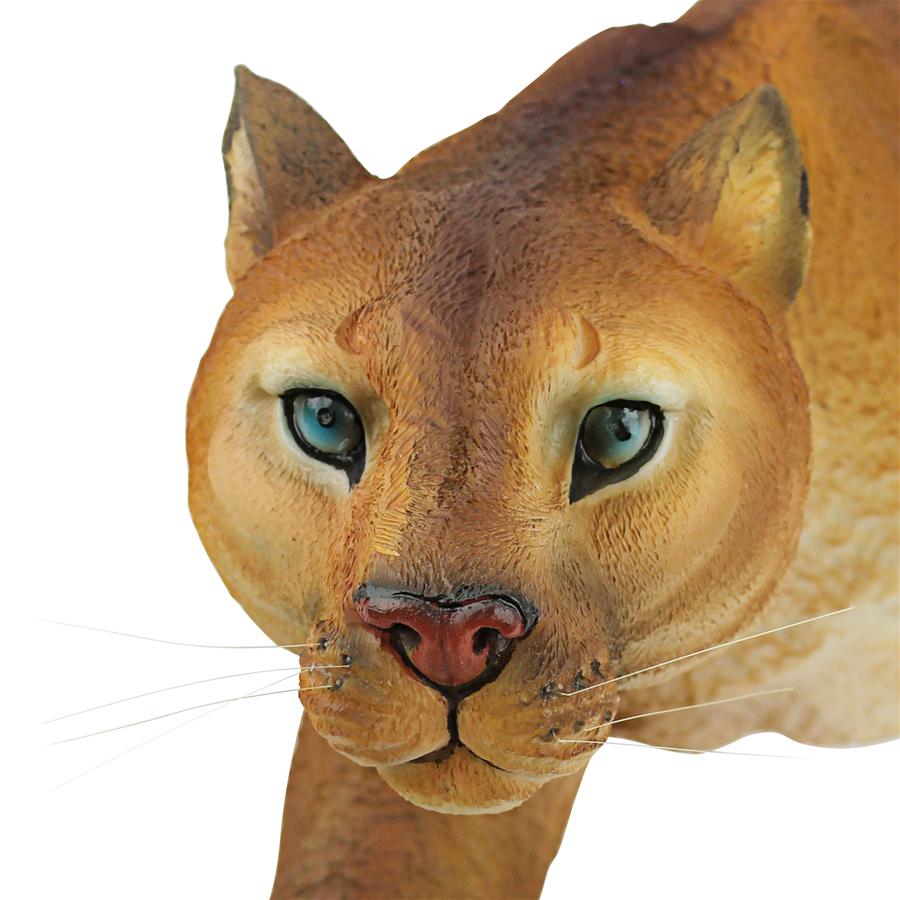 Prowling American Mountain Cougar Statue