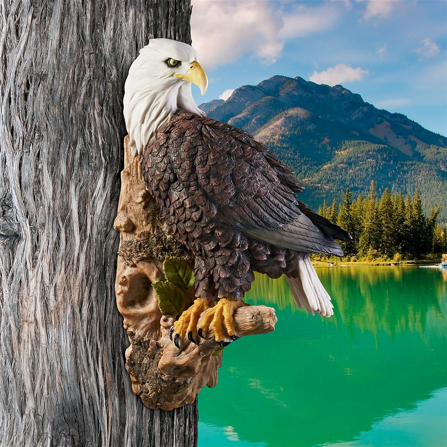 American Bald Eagle Bird of Prey Wall Sculpture