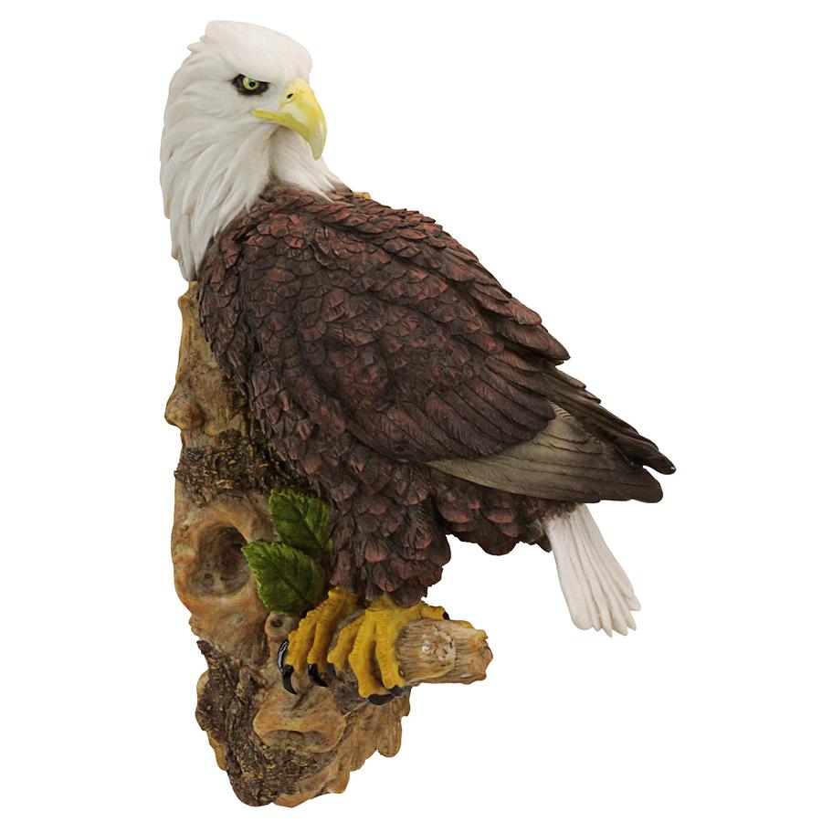 American Bald Eagle Bird of Prey Wall Sculpture