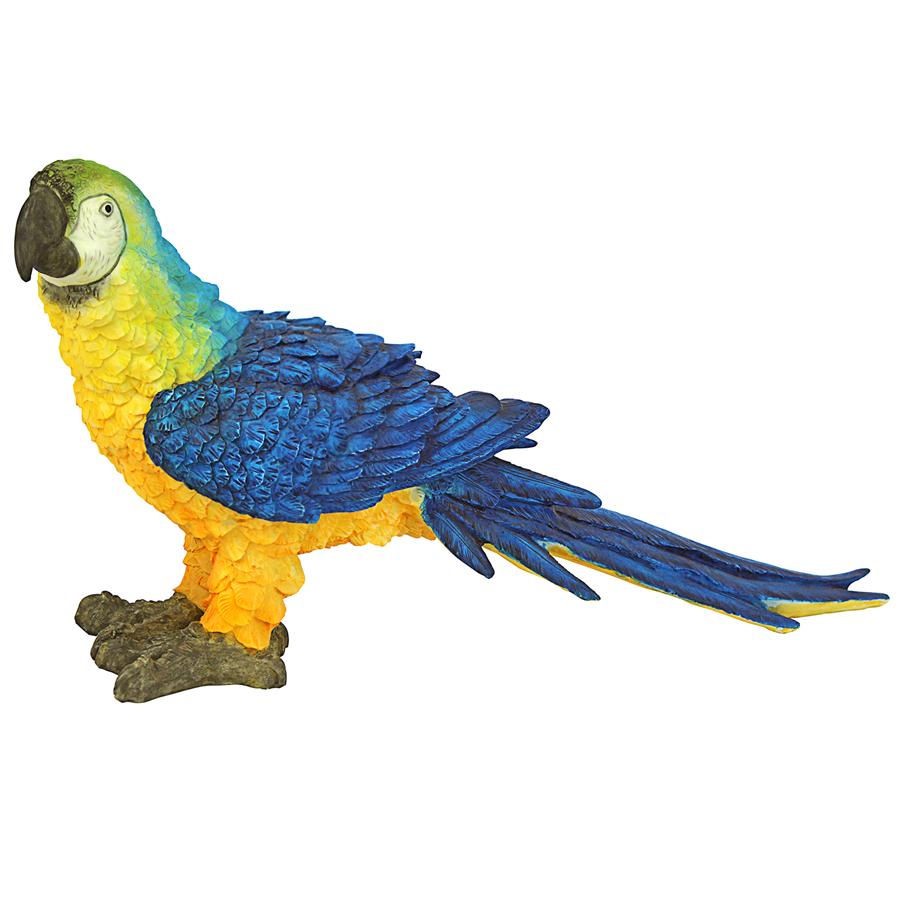 Mortimer the Macaw Tropical Parrot Statue