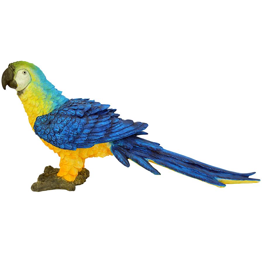 Mortimer the Macaw Tropical Parrot Statue