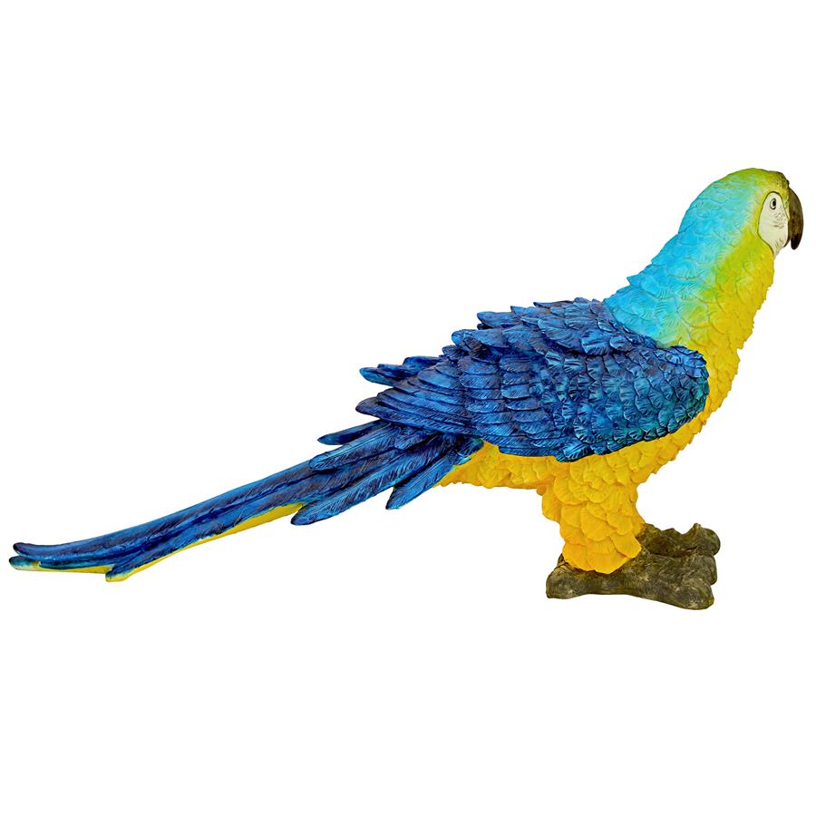 Mortimer the Macaw Tropical Parrot Statue