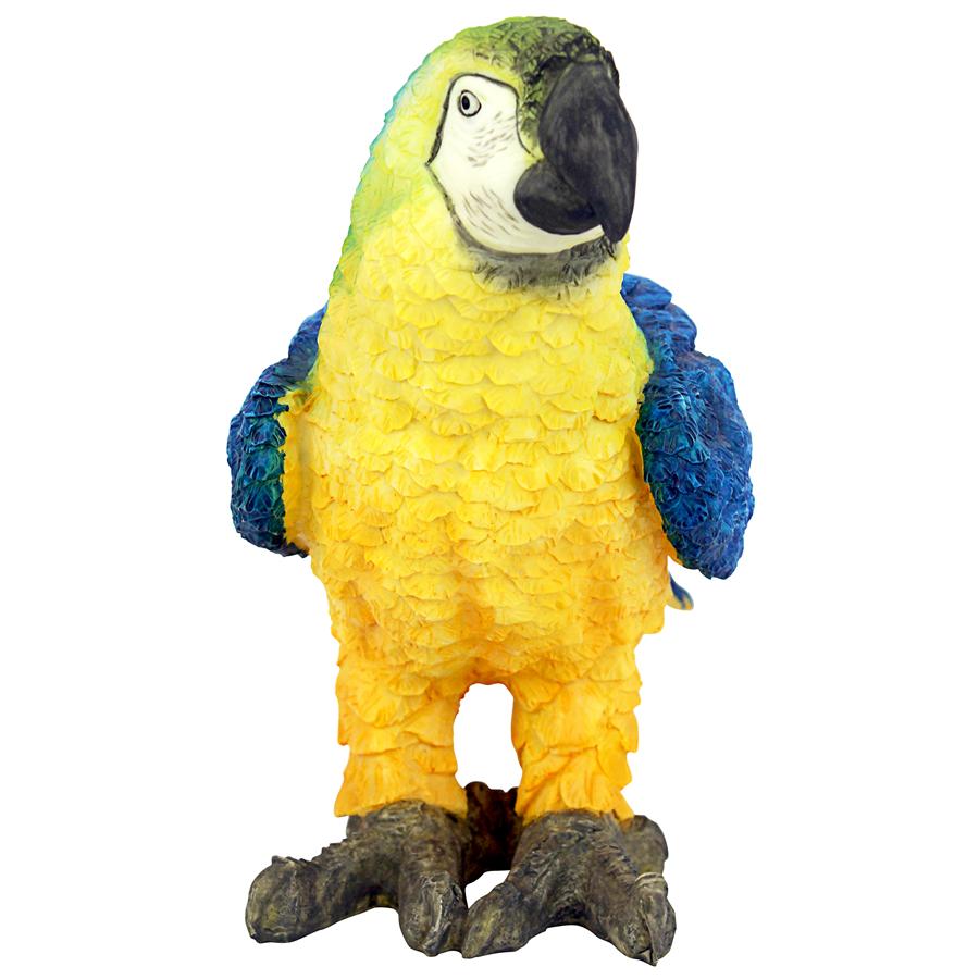 Mortimer the Macaw Tropical Parrot Statue