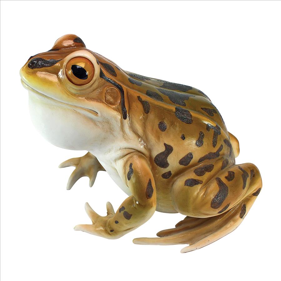 Lester, the Leopard Frog Statue