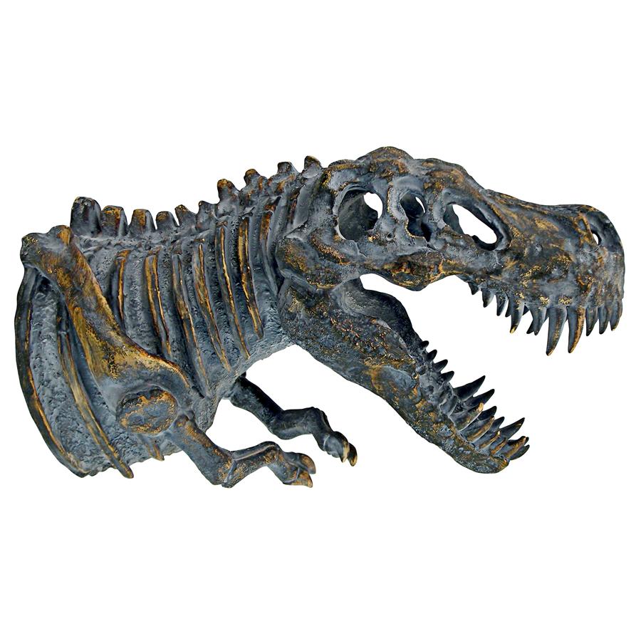 Bones of the Dinosaur T-Rex Skeleton Wall Sculpture