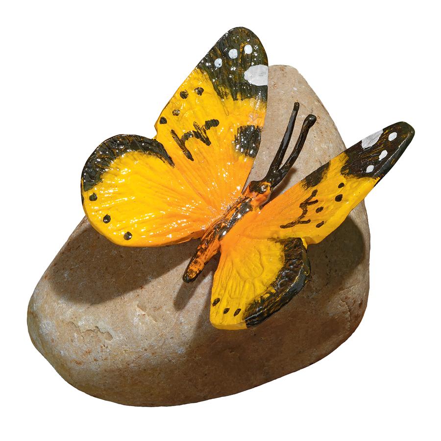 Yellow Mocker Swallowtail Butterfly on Rock Statue