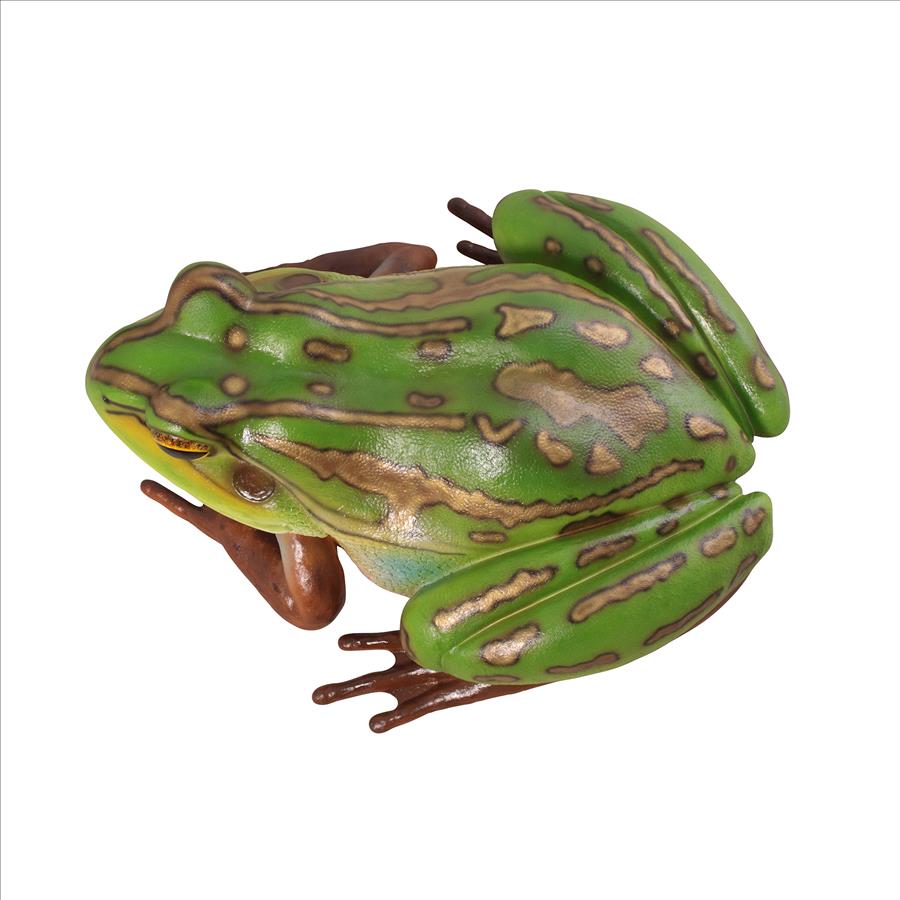 The Pine Barrens Giant Garden Tree Frog Statue