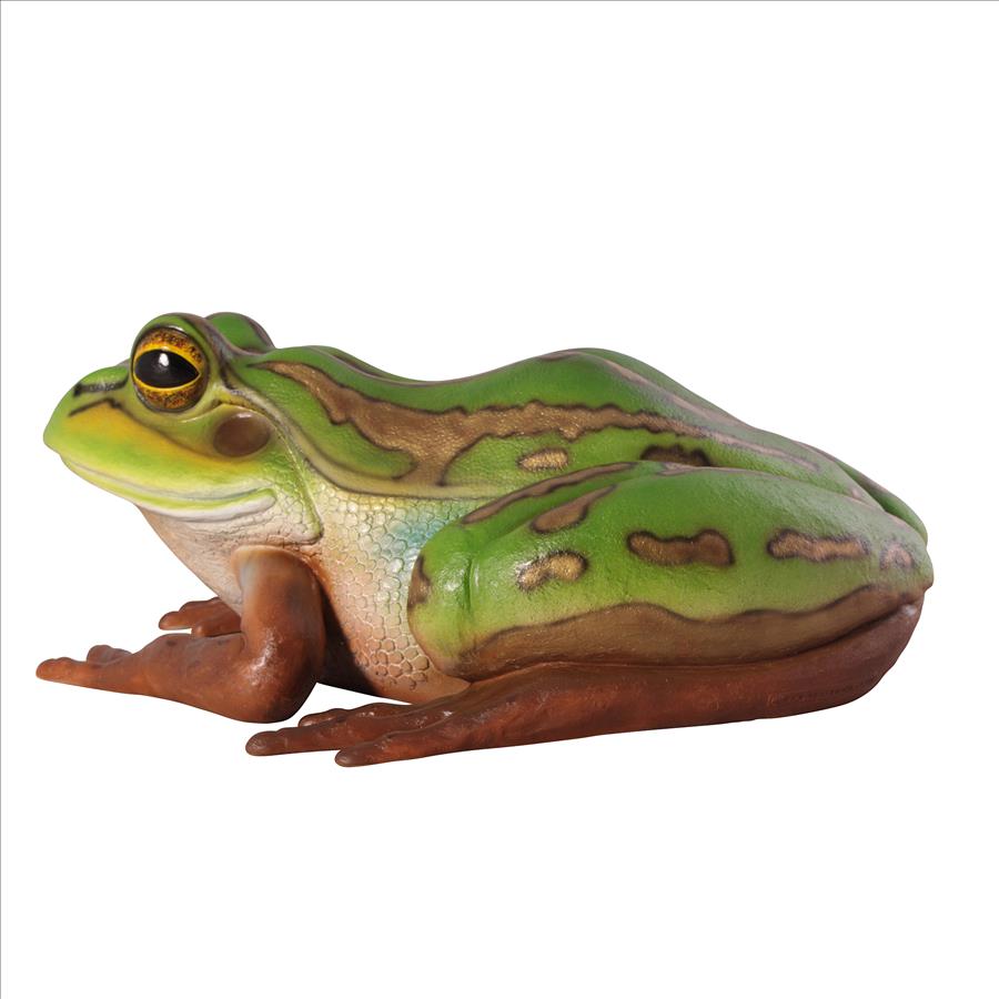 The Pine Barrens Giant Garden Tree Frog Statue