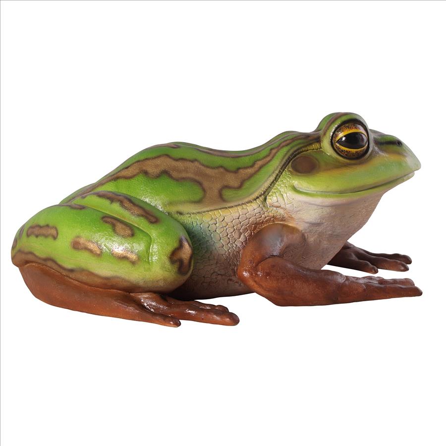 The Pine Barrens Giant Garden Tree Frog Statue