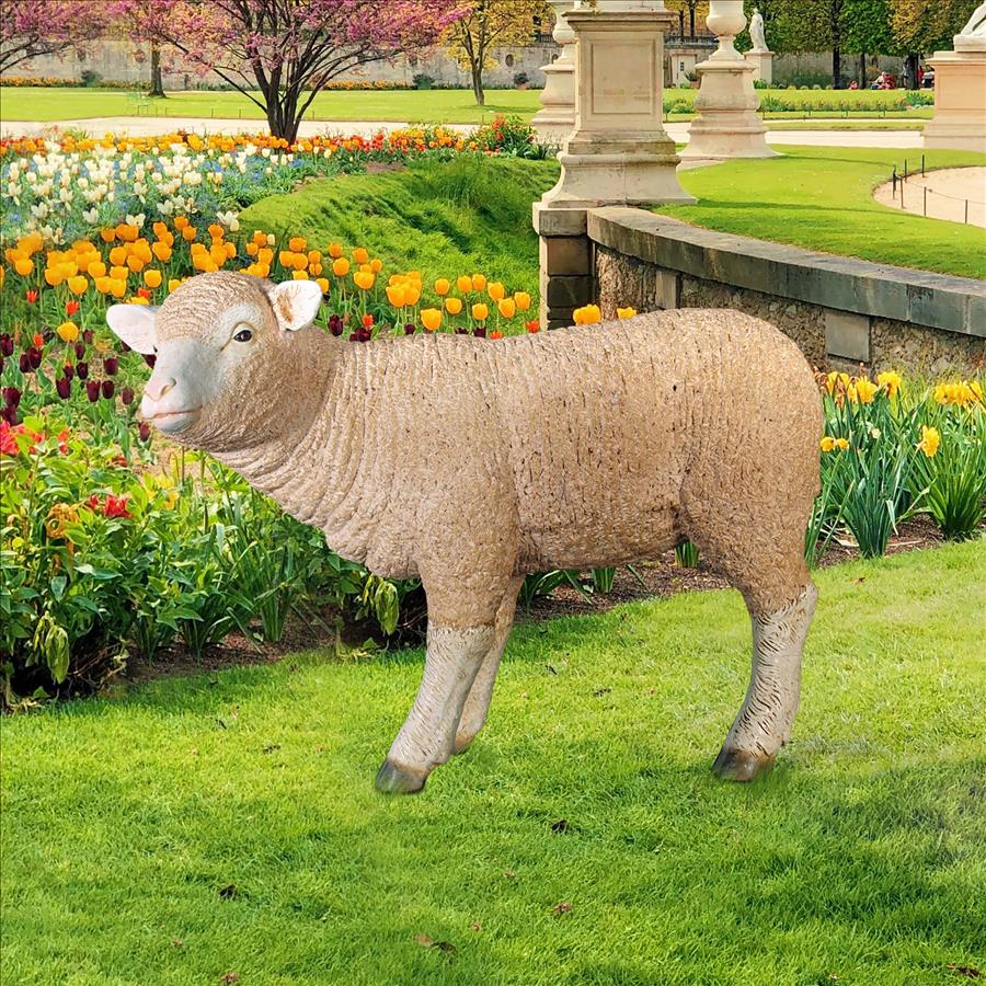 Merino Ewe Life-Size Lamb Statue: Standing