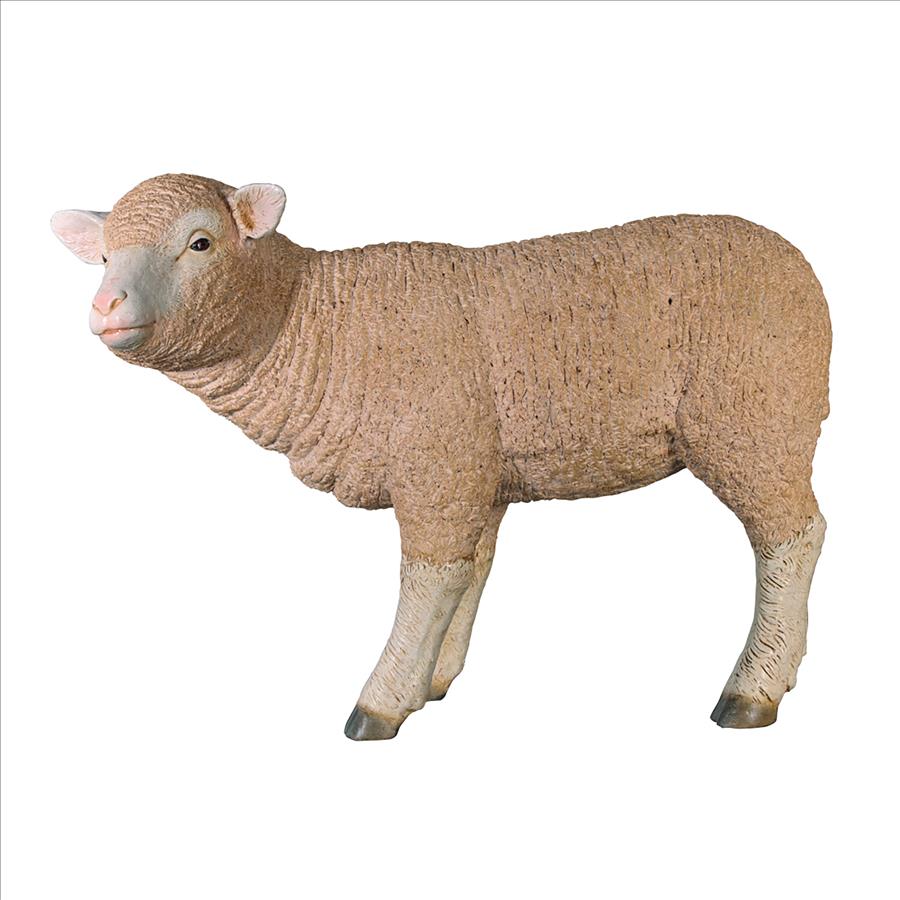 Merino Ewe Life-Size Lamb Statue: Standing