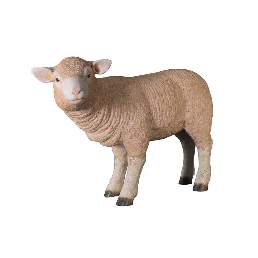 Merino Ewe Life-Size Lamb Statue: Standing