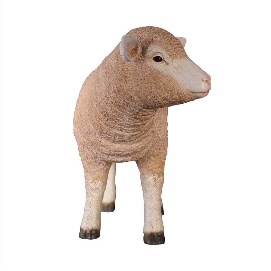 Merino Ewe Life-Size Lamb Statue: Standing