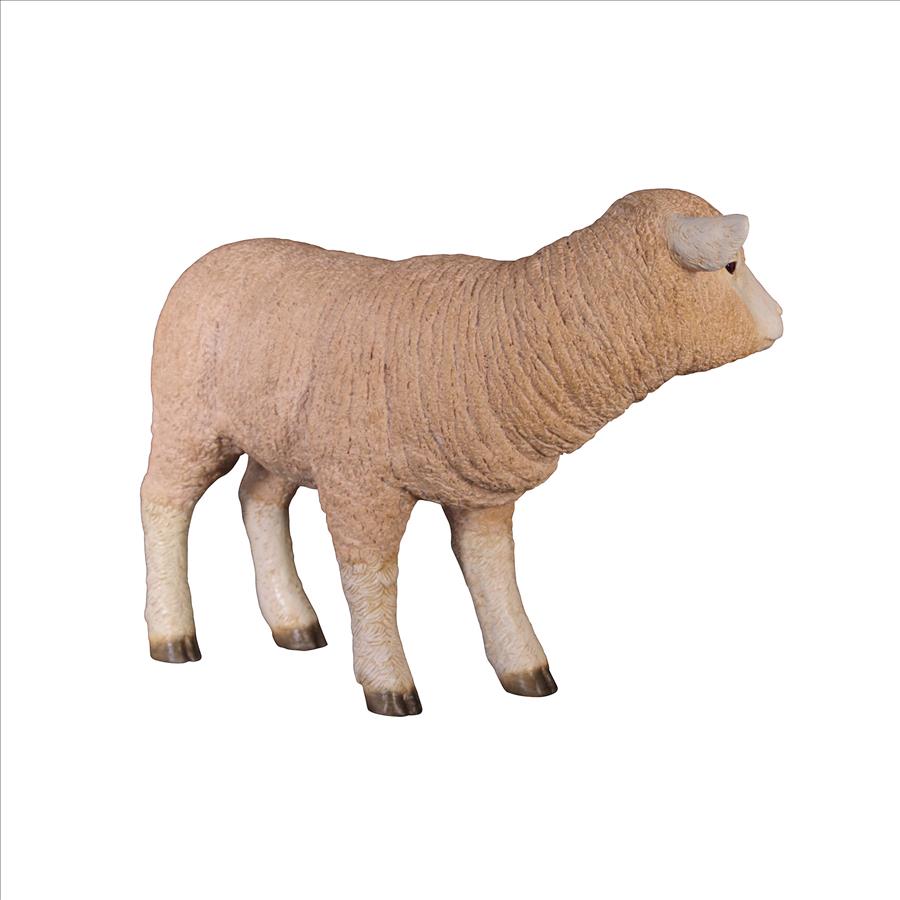 Merino Ewe Life-Size Lamb Statue: Standing