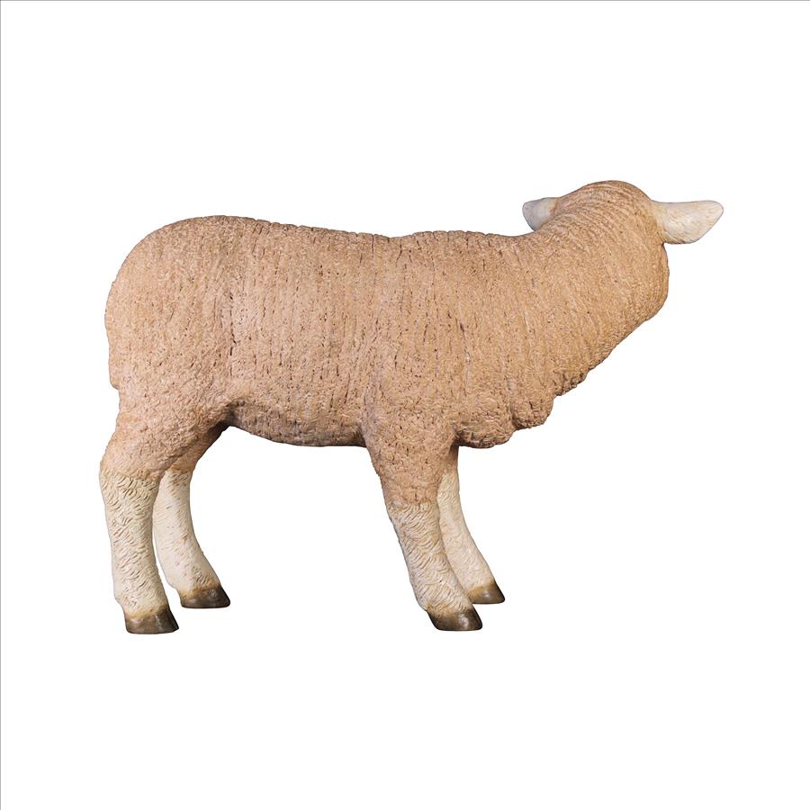 Merino Ewe Life-Size Lamb Statue: Standing