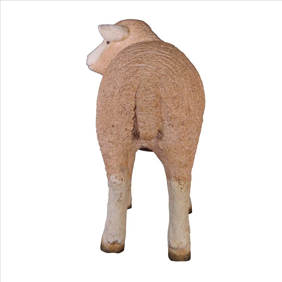 Merino Ewe Life-Size Lamb Statue: Standing