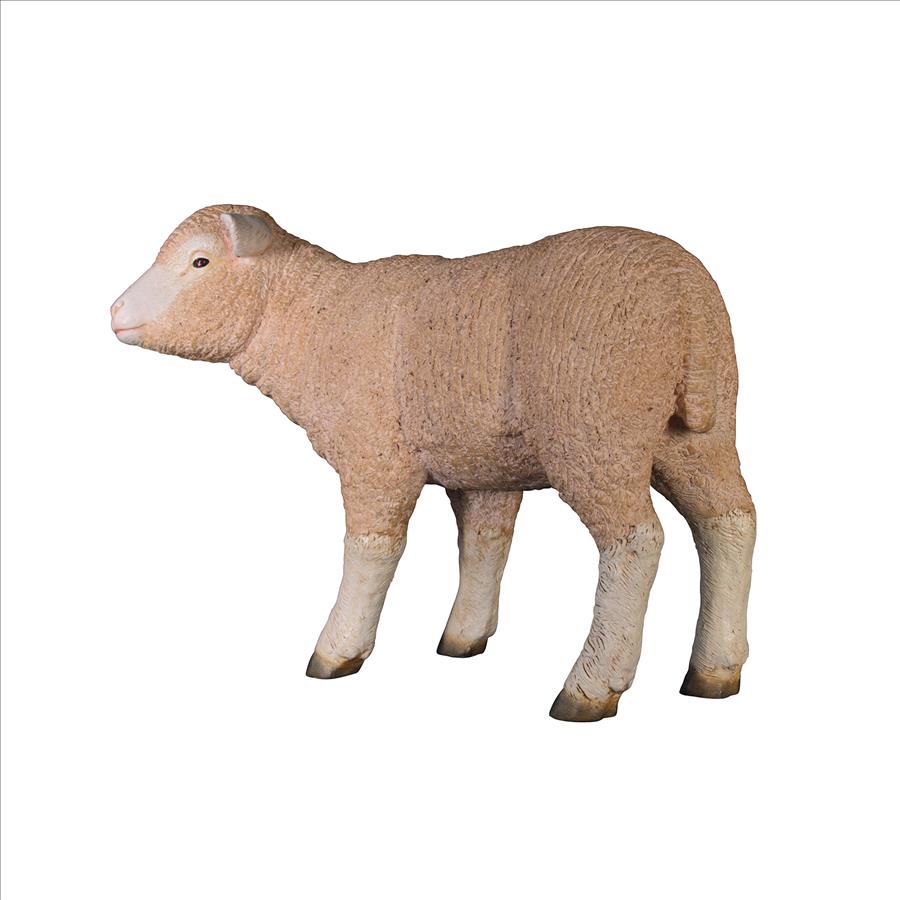 Merino Ewe Life-Size Lamb Statue: Standing