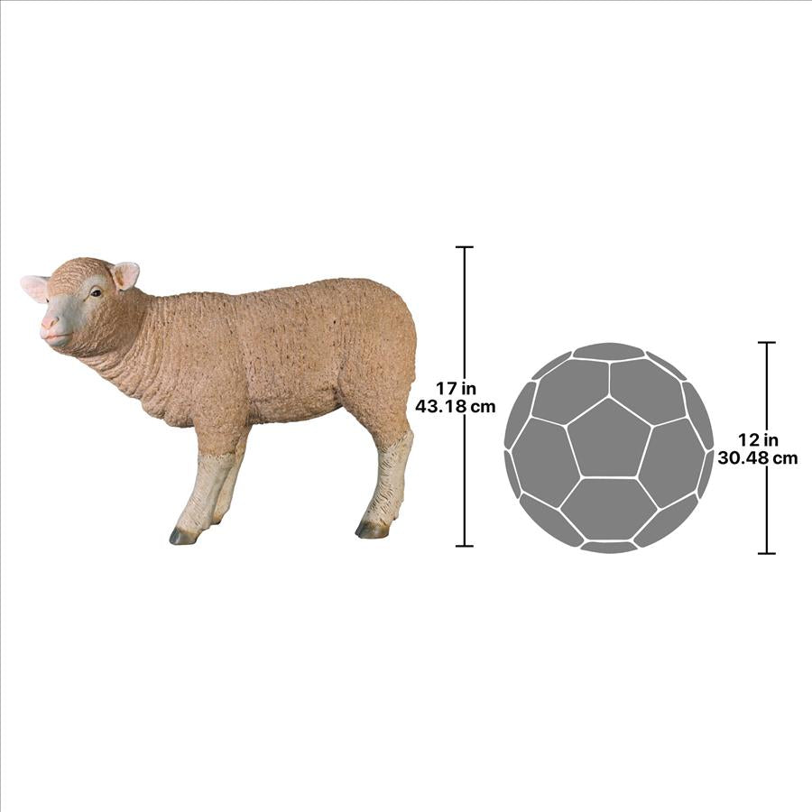 Merino Ewe Life-Size Lamb Statue: Standing