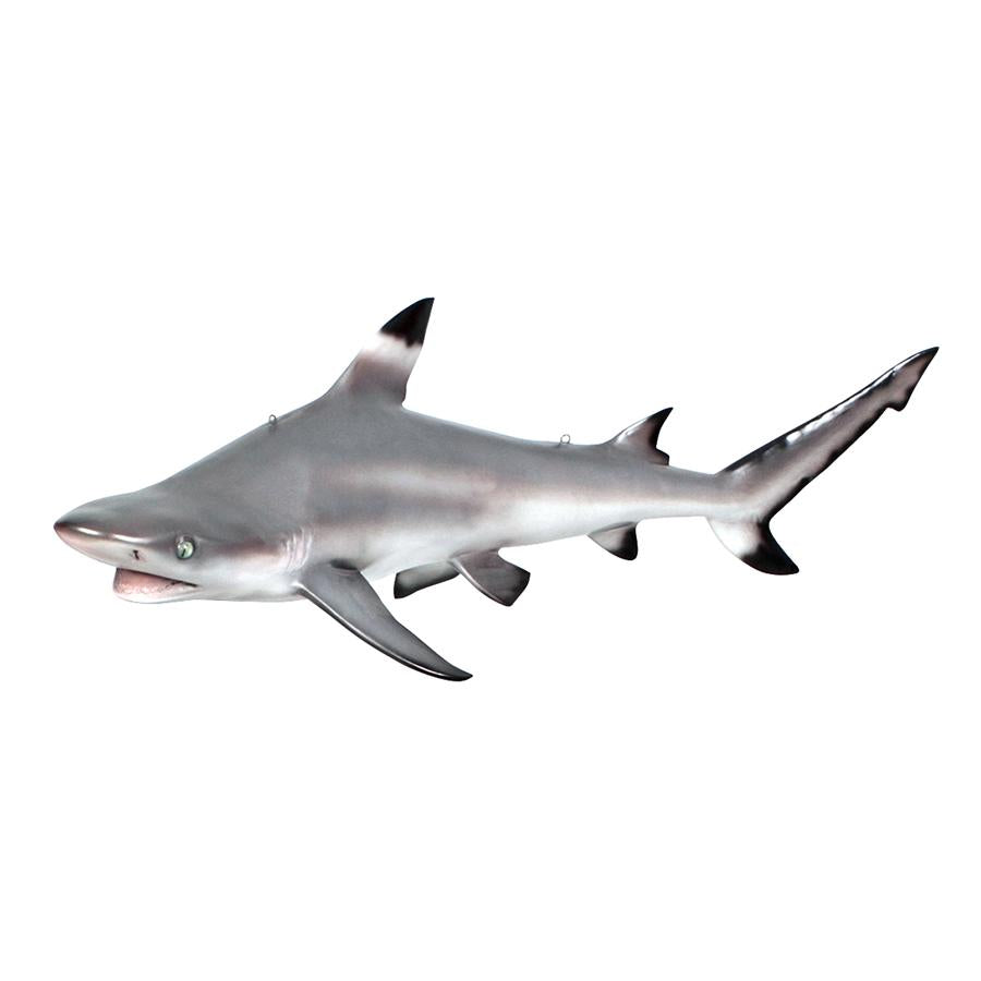 Blacktip Shark Ceiling Mount Trophy Sculpture