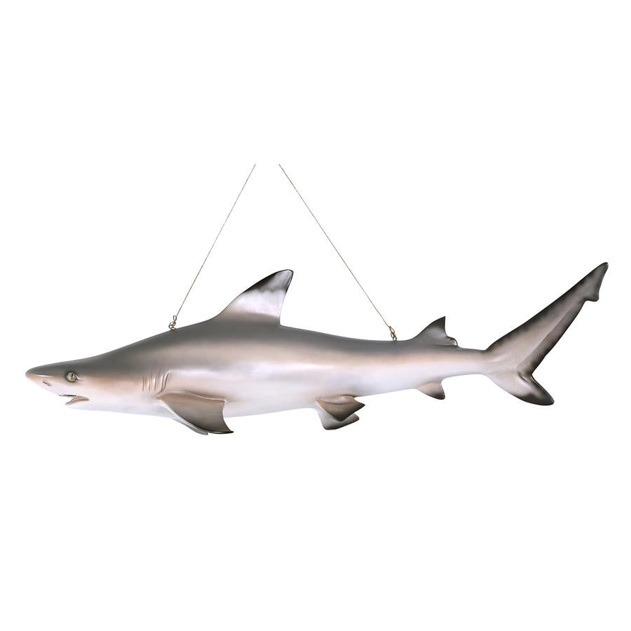 Blacktip Shark Ceiling Mount Trophy Sculpture