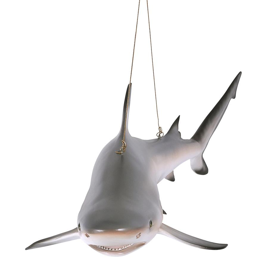 Blacktip Shark Ceiling Mount Trophy Sculpture