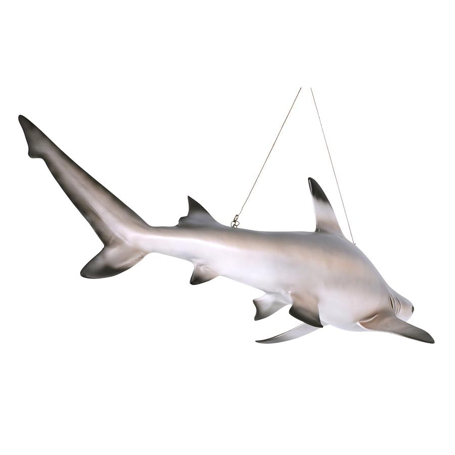 Blacktip Shark Ceiling Mount Trophy Sculpture