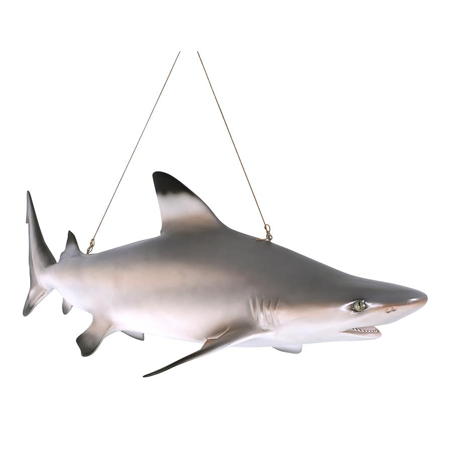 Blacktip Shark Ceiling Mount Trophy Sculpture