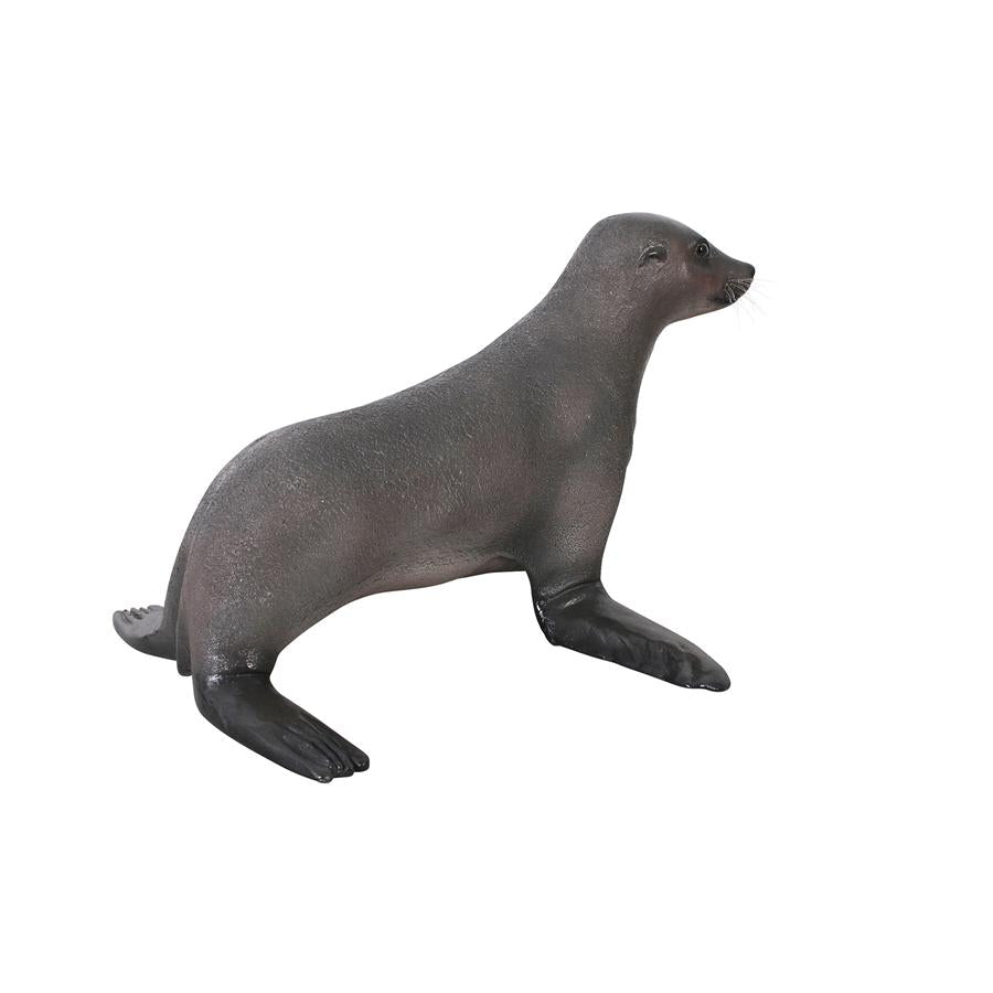 Baby Fur Seal Garden Statue