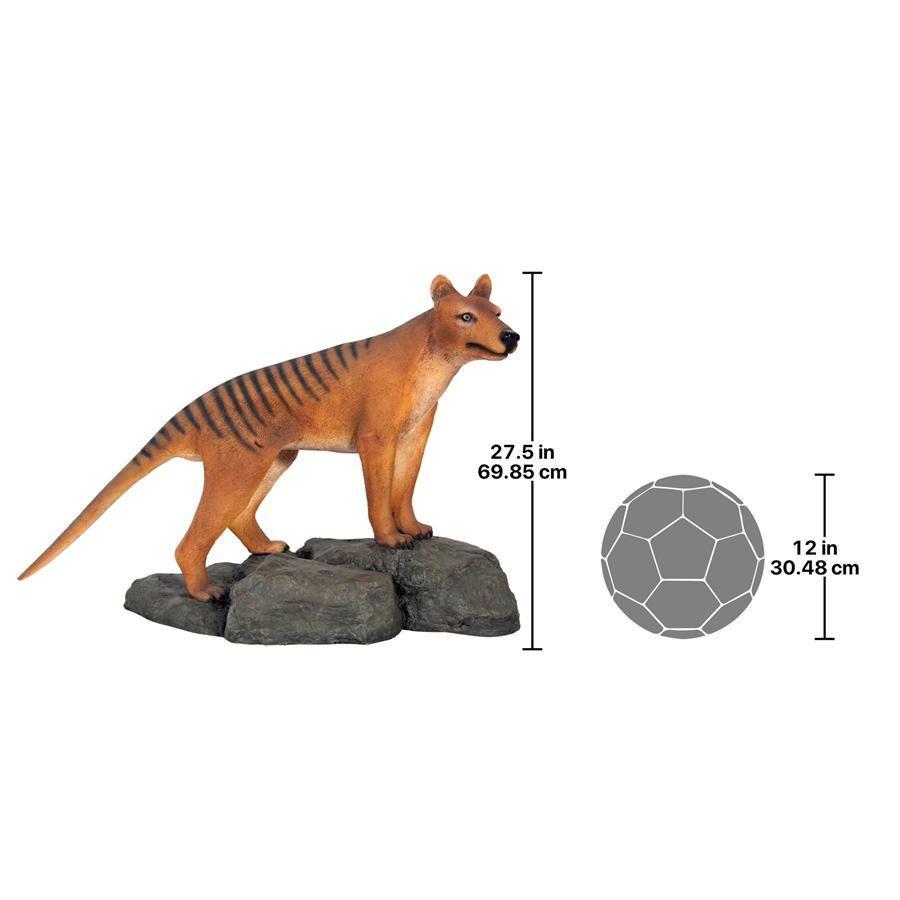 Mysterious Tasmanian Tiger Statue