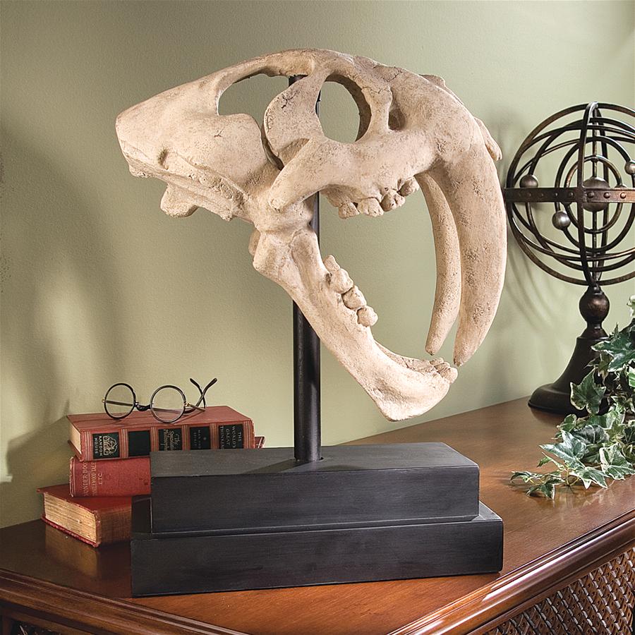 Saber-toothed Tiger Skull Artifact