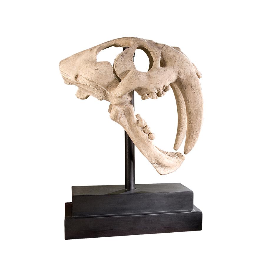 Saber-toothed Tiger Skull Artifact